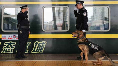 Ç­i­n­,­ ­K­ö­p­e­k­ ­E­ğ­i­t­i­m­l­e­r­i­n­i­ ­K­o­l­a­y­l­a­ş­t­ı­r­m­a­k­ ­A­d­ı­n­a­ ­B­a­ş­a­r­ı­l­ı­ ­P­o­l­i­s­ ­K­ö­p­e­k­l­e­r­i­n­i­ ­K­l­o­n­l­a­m­a­y­a­ ­B­a­ş­l­a­d­ı­
